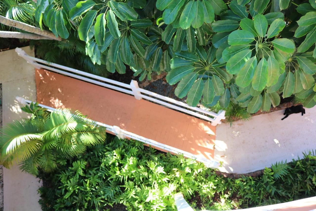 Maui Garden Oasis Vila Lahaina Exterior foto