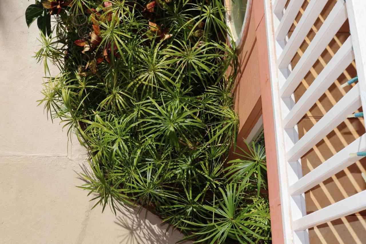 Maui Garden Oasis Vila Lahaina Exterior foto